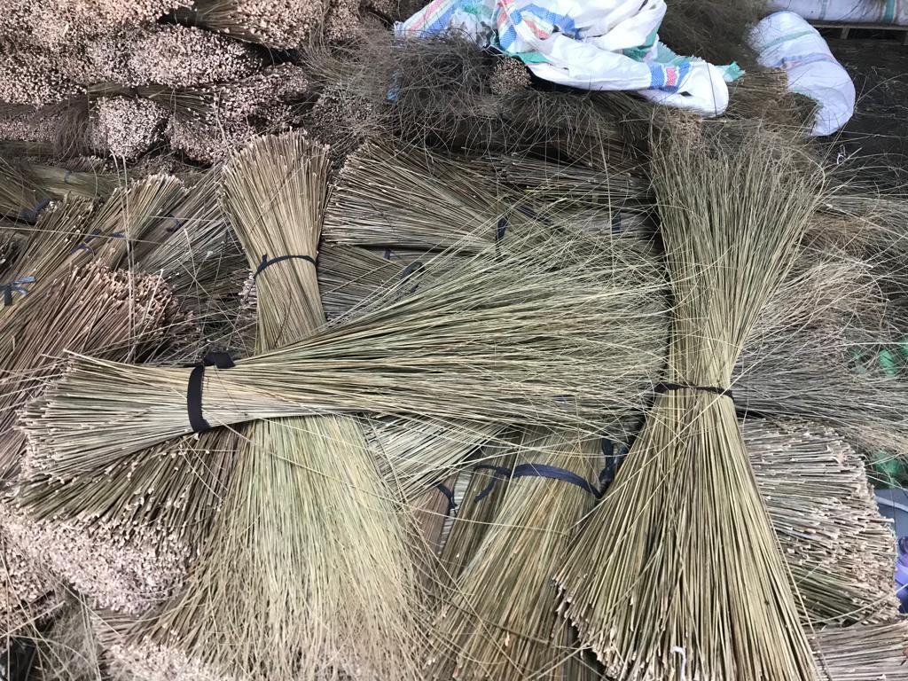 Palm Stick Broom